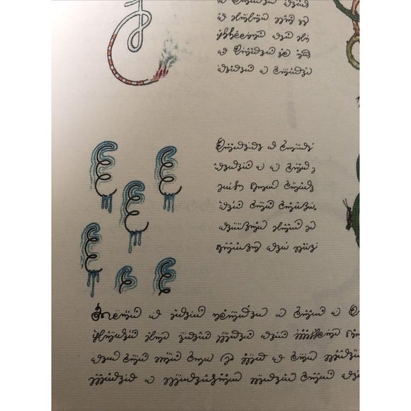 Luigi Serafini Codex Seraphinianus Print 181A - Picture 10 of 12